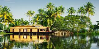 Kerala ...Feal the nature