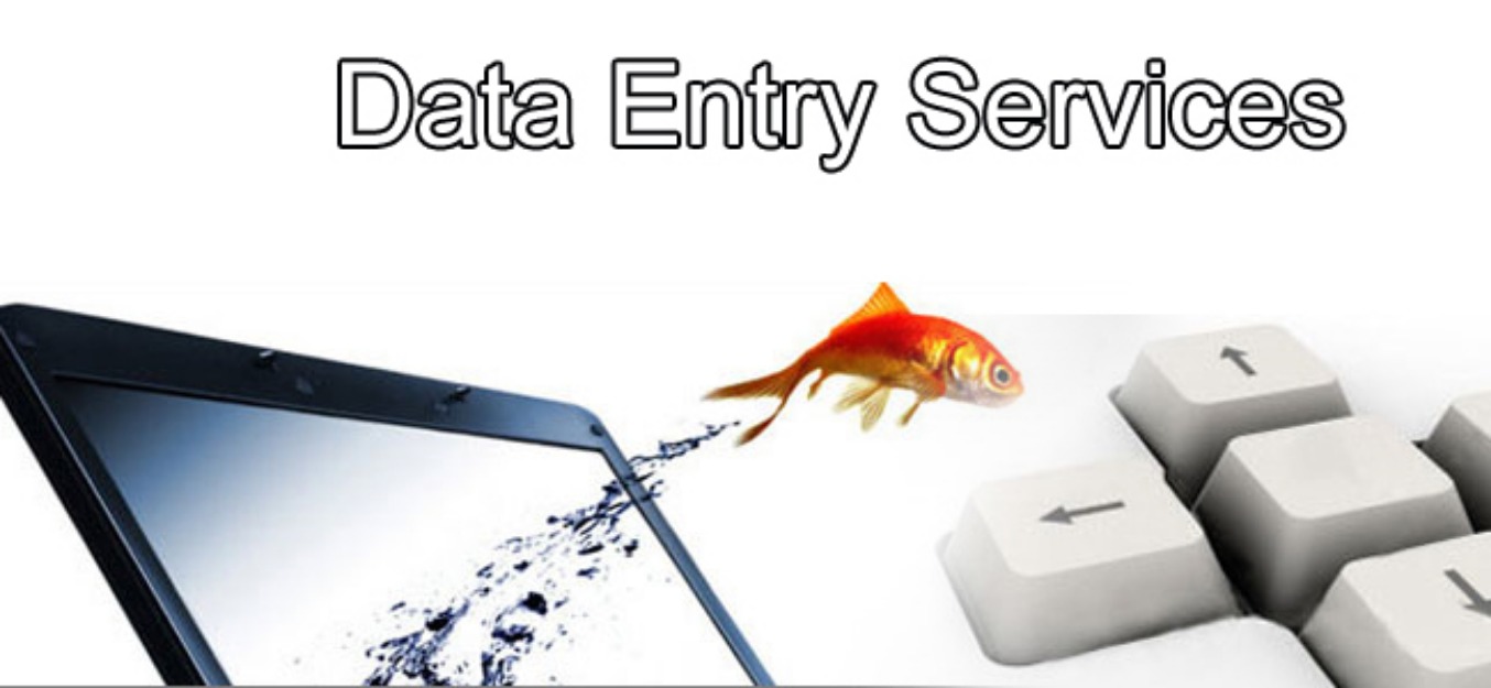 Looking For DATA Entry Work in Rajasthan , India