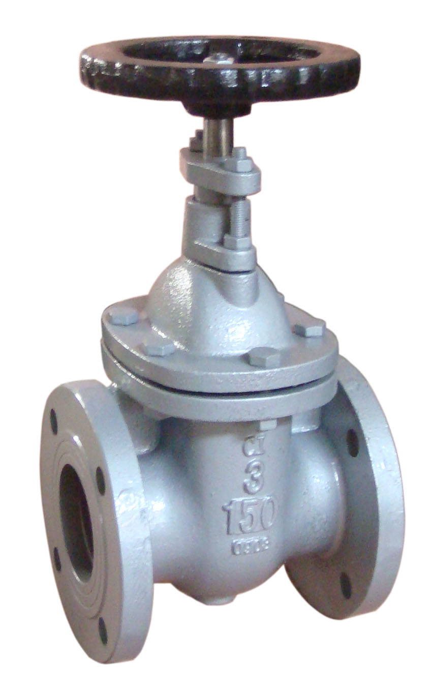 Gate Valve @ Flowjet