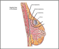 Best Multispeciality Hospital in Ahmedabad  