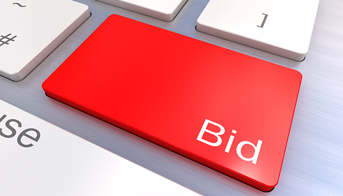 Tenders and Bid Writing