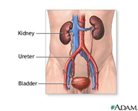 departmentofurology_671