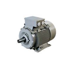 ELECTRICAL MOTOR